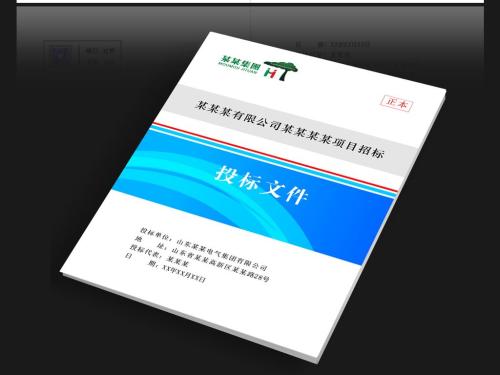 标书